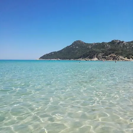 Family كالياري